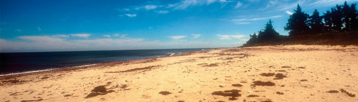 Kystleksikon – Gedesby Strand