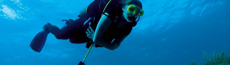 Dinglende dimser – vær strømlinet