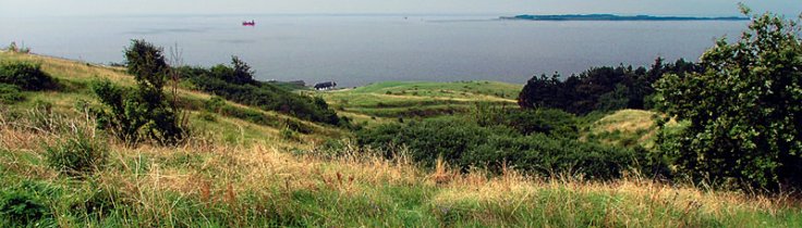 Kystleksikon #37 – Nordre Svinekilde, Samsø