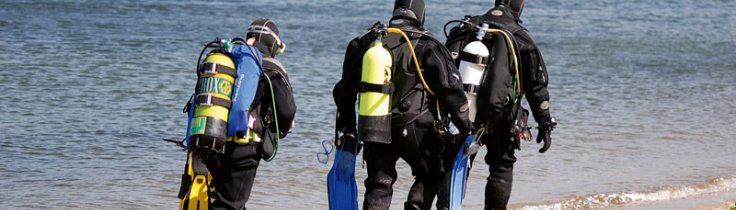 Dykningens Dag 2007 – hele repertoiret 