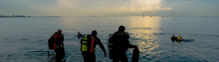 Kystleksikon #59 Amager Strandpark – København