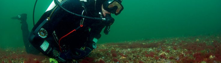 Kystleksikon #62 Barsø Landing – Sydøstjylland