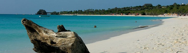 Zanzibar – fuld fart under overfladen