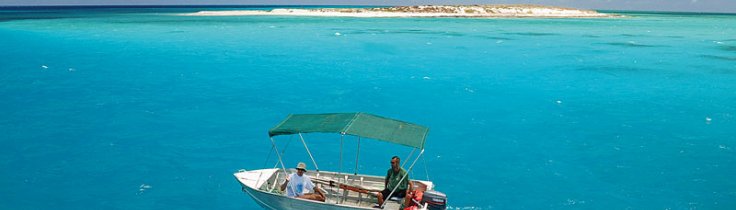 Great Barrier Reef – sjældne glimt fra en døende verden