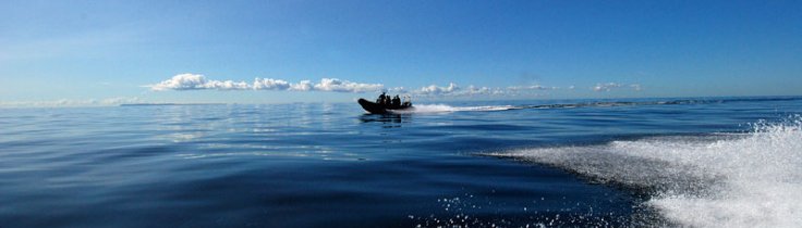 OWUSS-scholarship – Tour d’Scandinavia