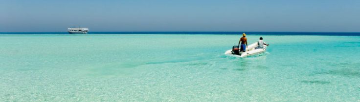 Farasan Banks – urørte rev i Saudi-Arabien
