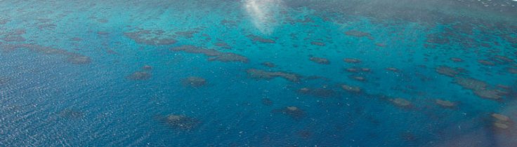 Great Barrier Reef – i en klasse for sig 