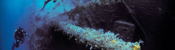 HMS Manchester – den sovende kæmpe 