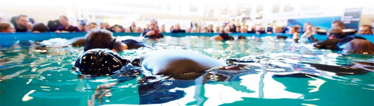 Copenhagen Diveshow – sådan en smule sne ...