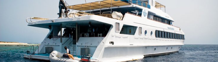 Sudan by boat – krydstogt i det sydlige Rødehav