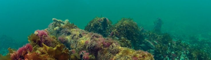 Kanonvragene i Øresund – og slaget ved København 1801