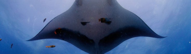 Mexico – stort både i øst og vest