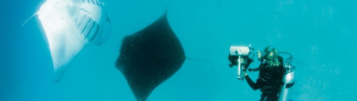 Maldiverne – her er du altid tæt på havet