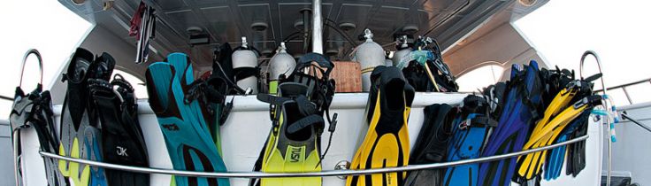 Liveaboard – få mest ud af din safari