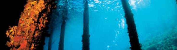 Curaçao – en cool kombination