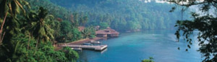 Lembeh – critters à la carte