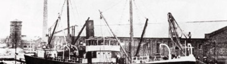 Cedric – Vragleksikon #35